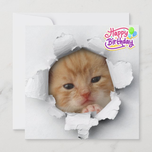 Cute kitty card (Front)