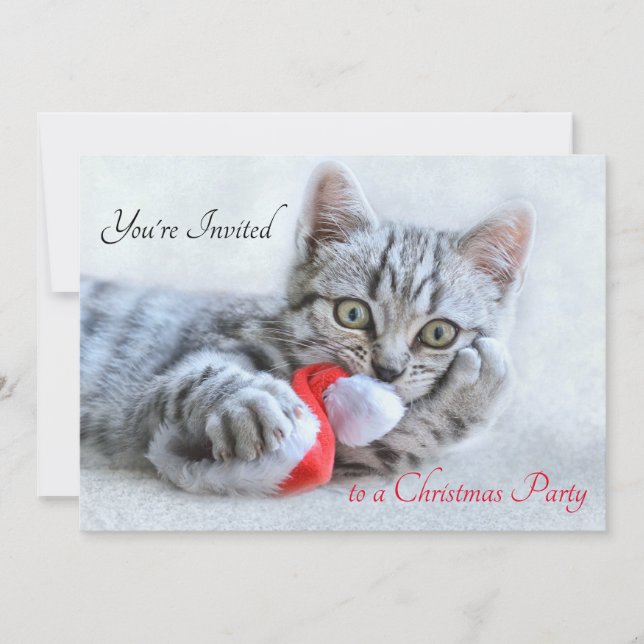 Cute Kitty Cat Biting a Red Santa Hat Christmas Invitation (Front)
