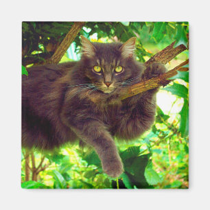 Cute Kitty Cat Magnet