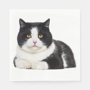 Cute Kitty Kitten Black White Cat Party Napkin