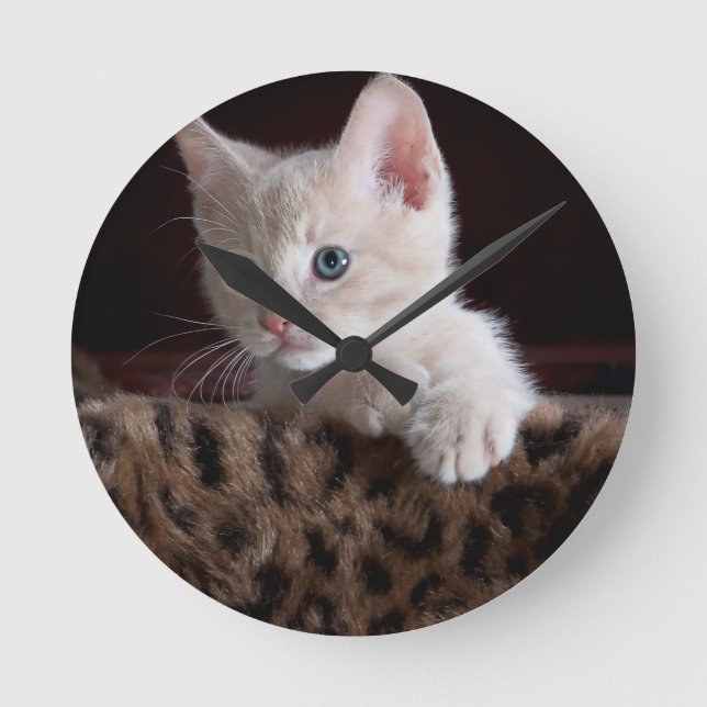 Cute Kitty Looking Round Clock (Front)