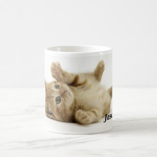 Cute kitty Mug