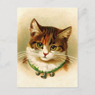 Cute kitty with bell collar postcard