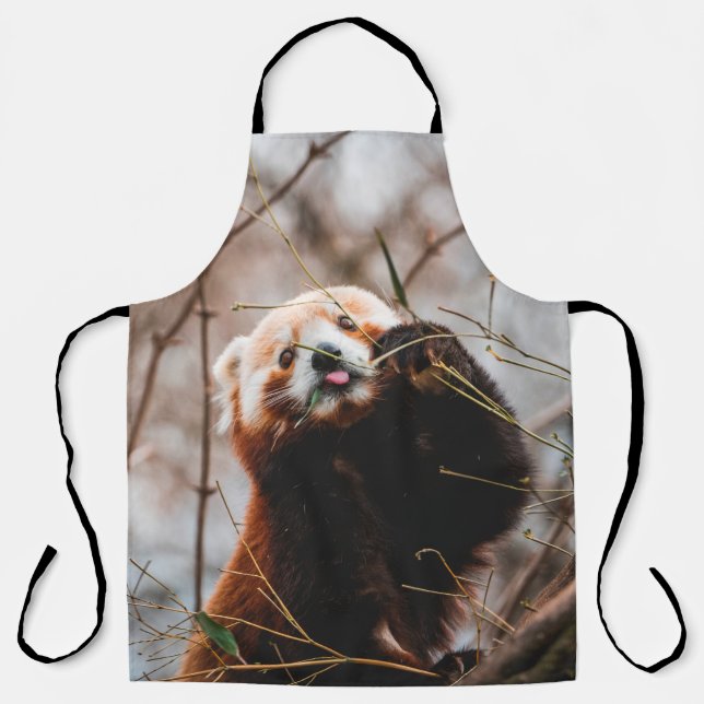 CUTE KOALA BEAR APRON (Front)