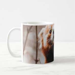 CUTE KOALA BEAR COFFEE MUG