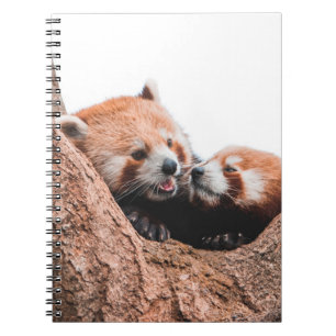 CUTE KOALA BEAR FAMILY NOTEBOOK