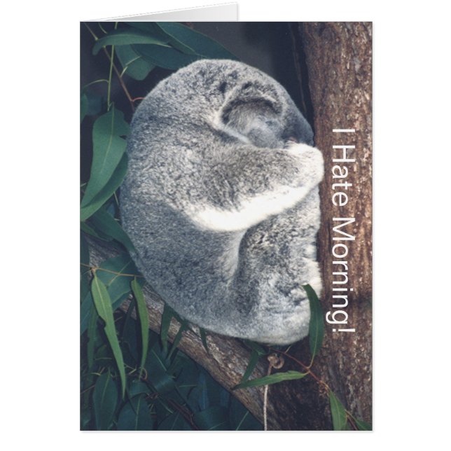 CUTE KOALA BEAR IN TREE/"I HATE MORNING!" (Front)