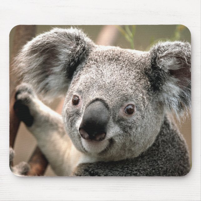 Cute Koala Bear Mouse Pad (Front)