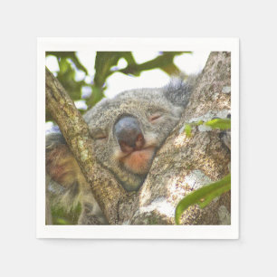 Cute Koala Bear Napkins