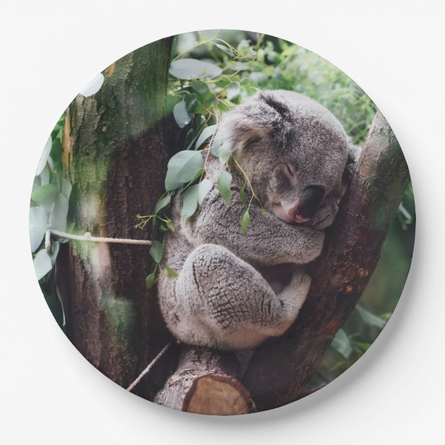 Cute Koala Bear relaxing in a Tree Paper Plate (Front)