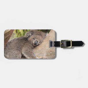 Cute Koala Bear resting on a tree Luggage Tag