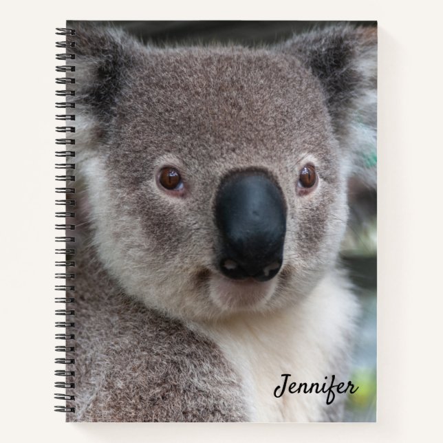 Cute Koala Bear Spiral Notebook (Front)
