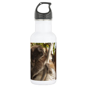 Cute Koala Bears Aussi Outback Safari Nature Art 532 Ml Water Bottle
