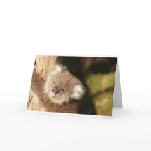 Cute Koala Bears Party Shower Birthday