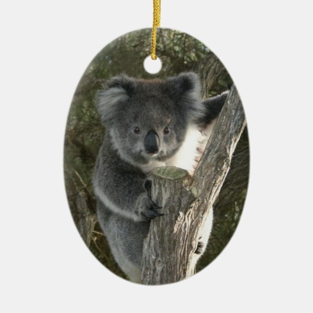 Cute Koala Climbing a Tree Ceramic Tree Decoration (Front)