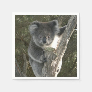Cute Koala Climbing a Tree Napkin