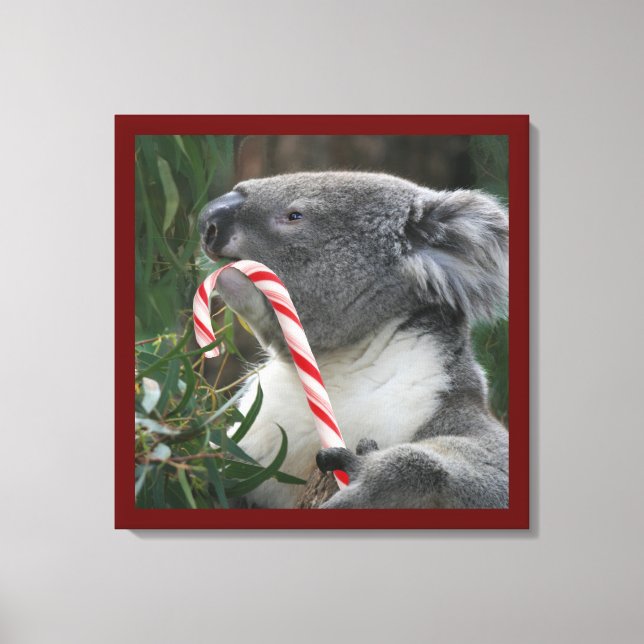Cute Koala Eating Candy Cane Canvas Print (Front)