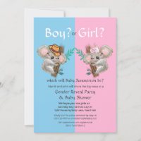 Cute Koala Gender Reveal Party / Baby Shower