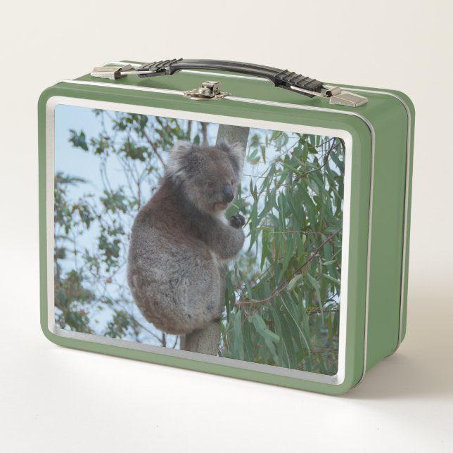 Cute Koala in a Tree Eating Green Metal Lunch Box (Front)