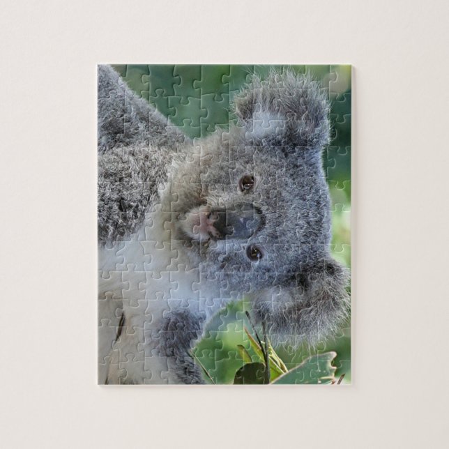 Cute koala jigsaw puzzle (Vertical)
