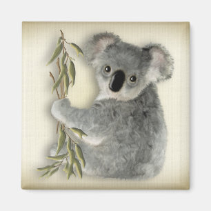 Cute Koala Magnet