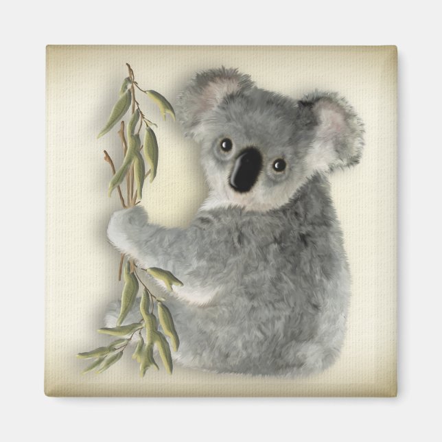 Cute Koala Magnet (Front)