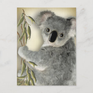 Cute Koala Postcard