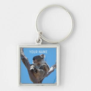 Cute Koala Sleeping in a Tree Australia Key Ring