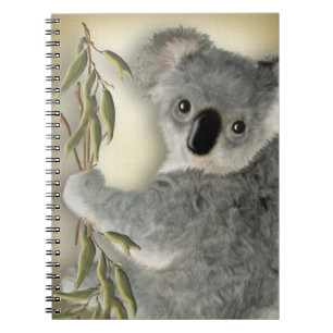 Cute Koala Spiral Notebook