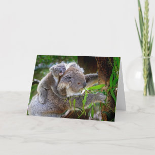 Cute Koalas Card
