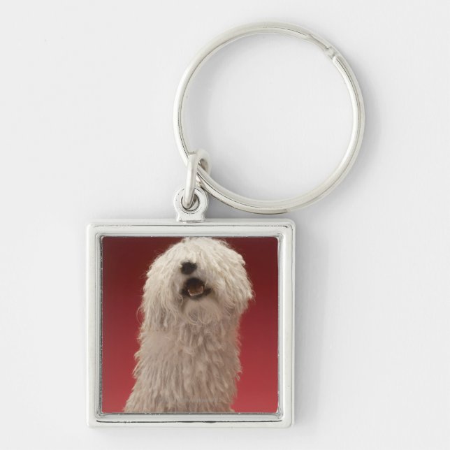 Cute Komondor Dog Key Ring (Front)