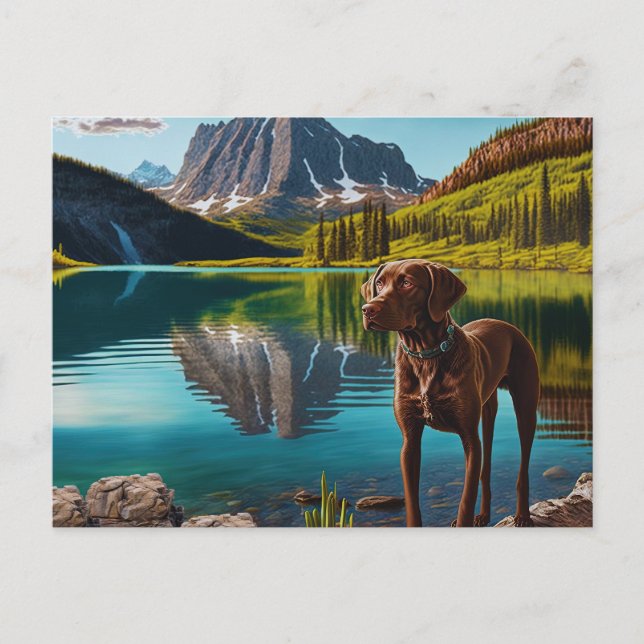 Cute Lab Dog Chocolate Labrador Retriever Animal Postcard (Front)