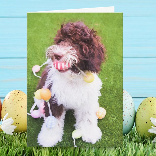Cute Labradoodle Easter Egg Hunt Card (Creator Uploaded)