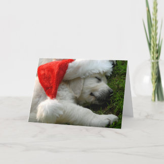 Cute labrador puppy with x-mas hat holiday card