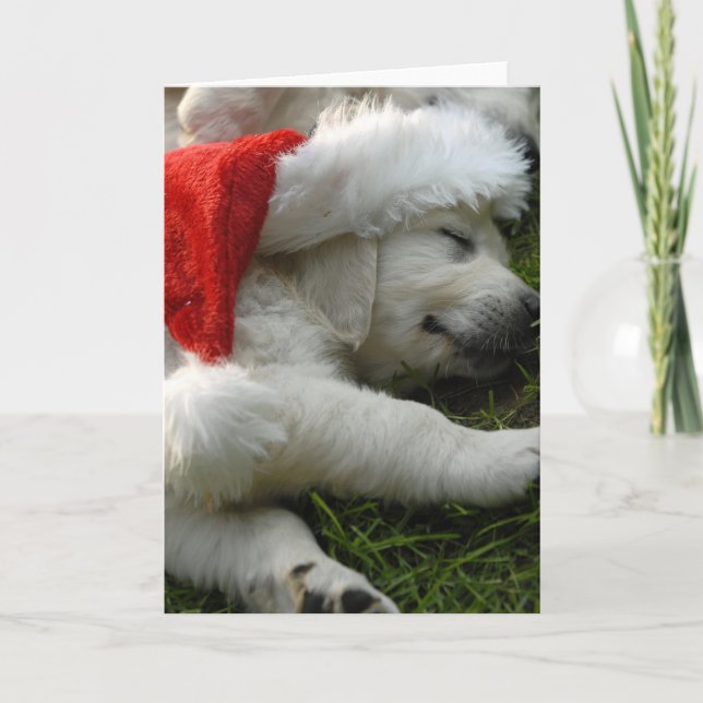 Cute labrador puppy with x-mas hat holiday card (Front)