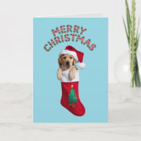 Cute Labrador Retriever Dog Christmas