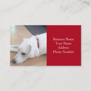 Cute Labrador Retriever Mix Dog Red Business Card