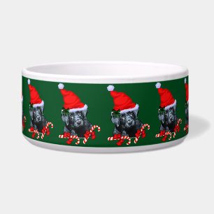 Cute Labrador Retriever Puppy Christmas