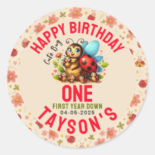 Cute Ladybug 1st Birthday   Bug Theme Party Classic Round Sticker