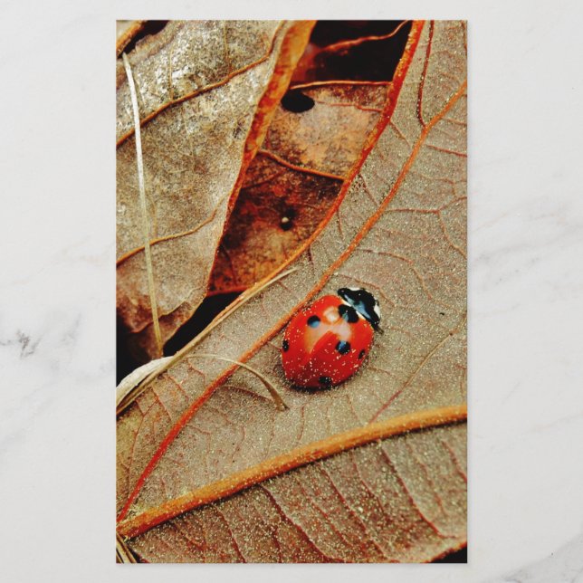 cute Ladybug costume personalise name gift (Front)