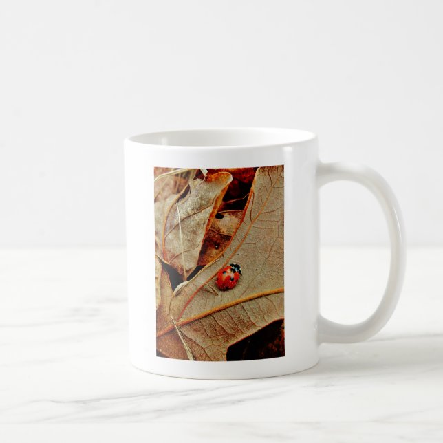 cute Ladybug costume personalise name gift Coffee Mug (Right)