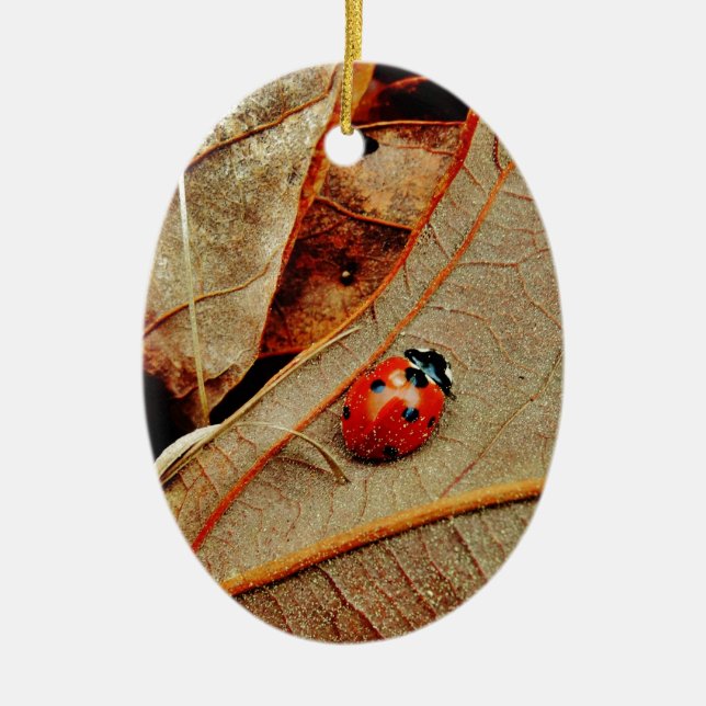 cute Ladybug custom personalise name gift Ceramic Tree Decoration (Front)