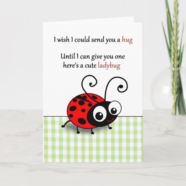 Cute Ladybug hug - miss you Card (Front)