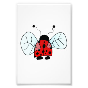 Cute Ladybug Illustration Photo Print