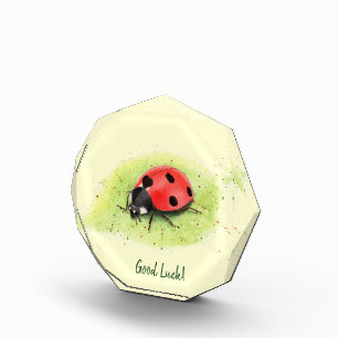 Cute Ladybug on a leaf Photo Block
