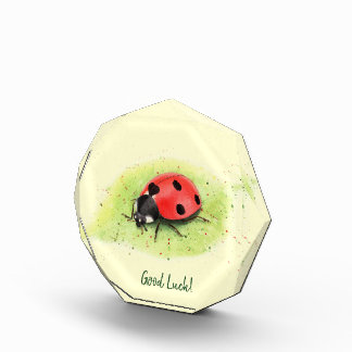 Cute Ladybug on a leaf Photo Block