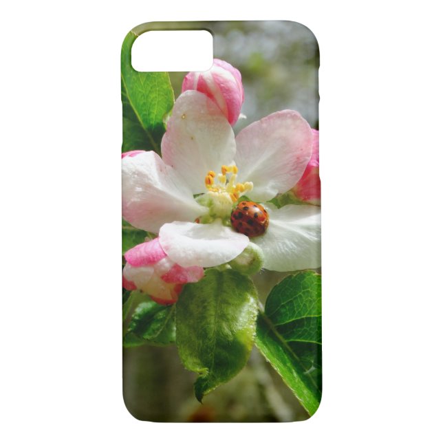 cute Ladybug on white Apple blossom flowers Case-Mate iPhone Case (Back)