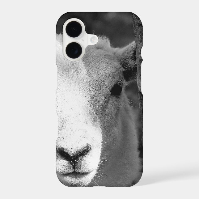 CUTE LAMB (Back)