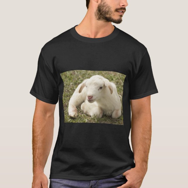 Cute Lamb Farm Sheep T-Shirt (Front)