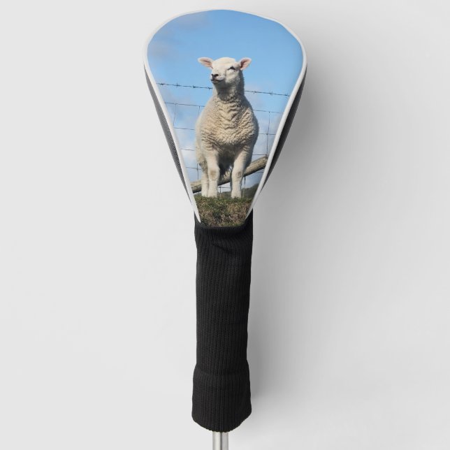 CUTE LAMB  GOLF HEAD COVER (Front)